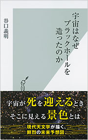 宇宙はなぜブラックホールを造ったのか